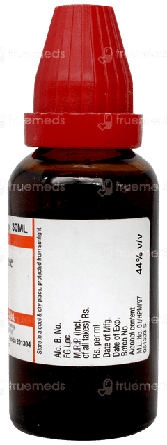 Dr Willmar Schwabe Equisetum Arvense Q Mother Tincture 30ml Dr Willmar Schwabe Equisetum Arvense Q Mother Tincture 30ml