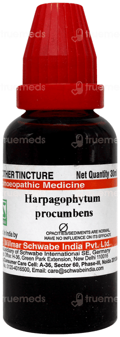Dr Willmar Harpagophytum Procumbens Q Mother Tincture 30 Ml