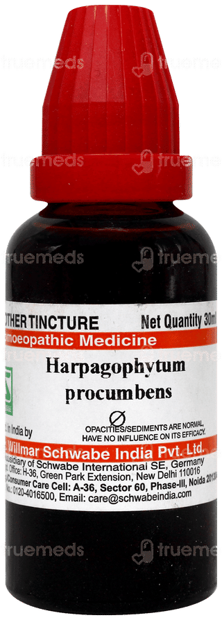 Dr Willmar Harpagophytum Procumbens Q Mother Tincture 30 Ml