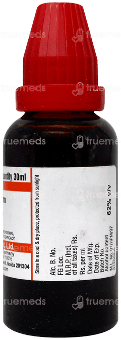 Dr Willmar Harpagophytum Procumbens Q Mother Tincture 30 Ml