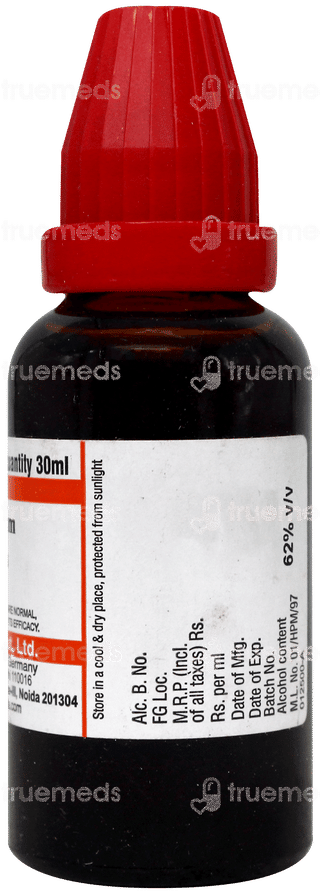 Dr Willmar Harpagophytum Procumbens Q Mother Tincture 30 Ml