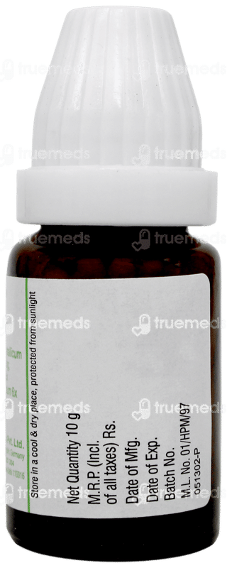 Dr Willmar Mama Natura Anekind Globules 10 GM