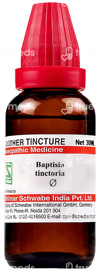 Dr Willmar Baptisia Tinctoria Q Mother Tincture 30 ML