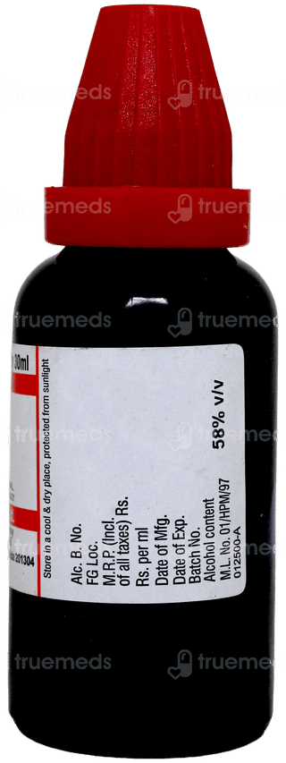 Dr Willmar Guarana Q Mother Tincture 30 ML