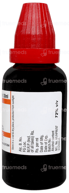 Dr Willmar Myrica Cerifera Q Mother Tincture 30 ML