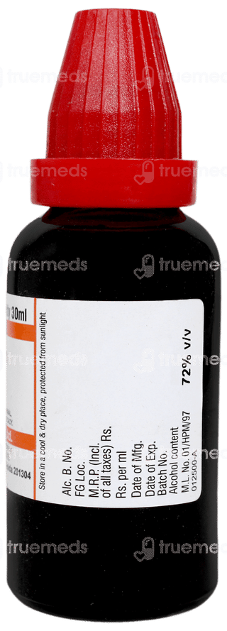 Dr Willmar Myrica Cerifera Q Mother Tincture 30 ML