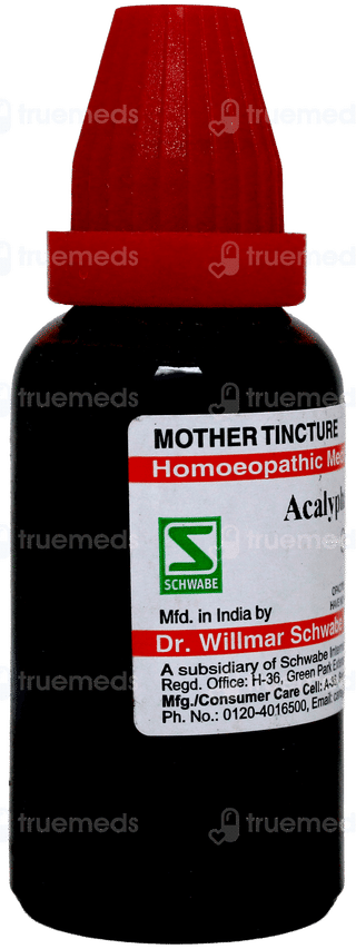 Dr Willmar Acalypha Indica Q Mother Tincture 30 ML