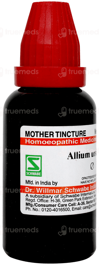 Dr Willmar Allium Ursinum Q Mother Tincture 30 ML