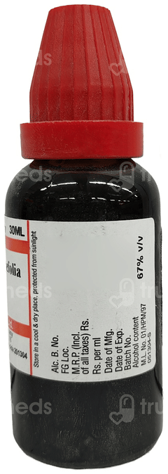 Dr Willmar Ambrosia Artemisiaefolia Q Mother Tincture 30Ml