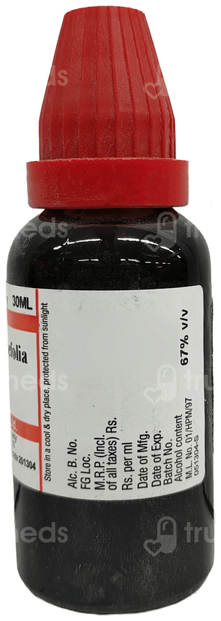 Dr Willmar Ambrosia Artemisiaefolia Q Mother Tincture 30Ml