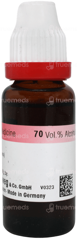 Dr Reckeweg Pulsatilla Q Mother Tincture 20 ML