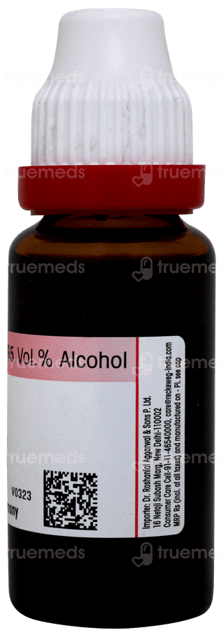 Dr Reckeweg Bellis Per Q Mother Tincture 20ml