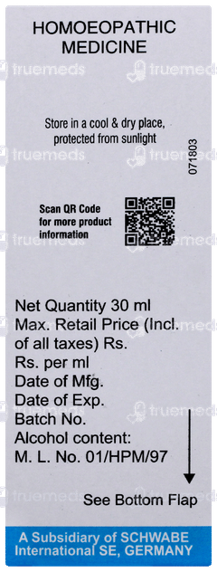 Dr Willmar Boldo Q Mother Tincture 30 ML Dr Willmar Boldo Q Mother Tincture 30 ML