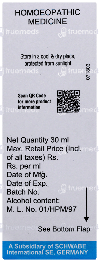 Dr Willmar Boldo Q Mother Tincture 30 ML