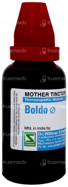 Dr Willmar Boldo Q Mother Tincture 30 ML Dr Willmar Boldo Q Mother Tincture 30 ML