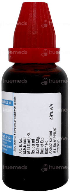 Dr Willmar Boldo Q Mother Tincture 30 ML Dr Willmar Boldo Q Mother Tincture 30 ML