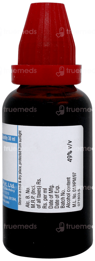 Dr Willmar Boldo Q Mother Tincture 30 ML