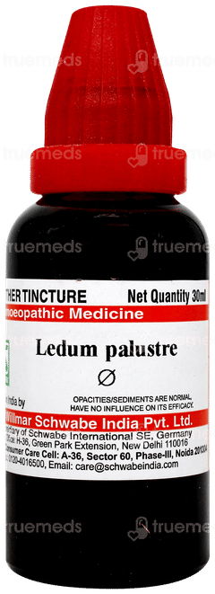 Dr Willmar Ledum Palustre Q Mother Tincture 30 ML