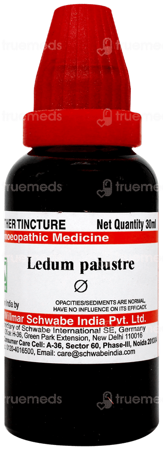 Dr Willmar Ledum Palustre Q Mother Tincture 30 ML