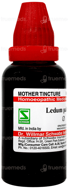 Dr Willmar Ledum Palustre Q Mother Tincture 30 ML