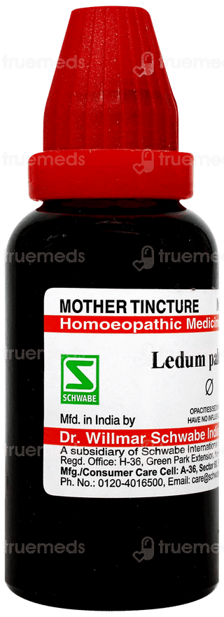 Dr Willmar Ledum Palustre Q Mother Tincture 30 ML