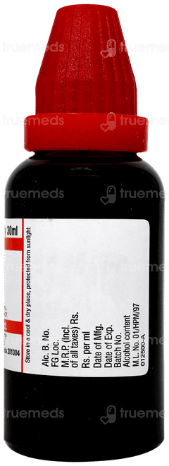 Dr Willmar Ledum Palustre Q Mother Tincture 30 ML