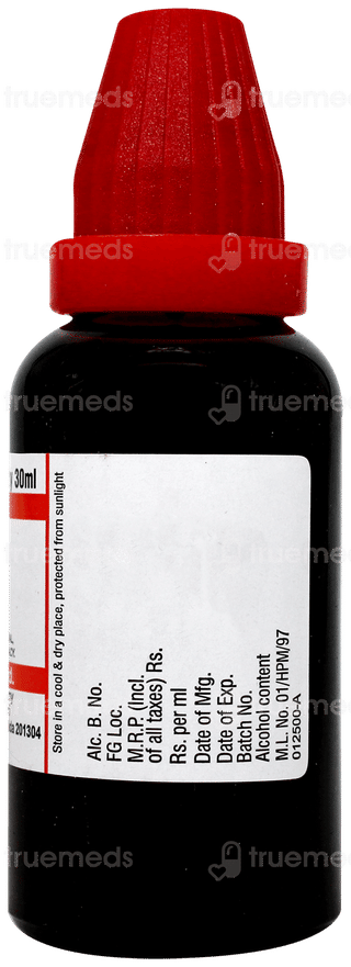 Dr Willmar Ledum Palustre Q Mother Tincture 30 ML