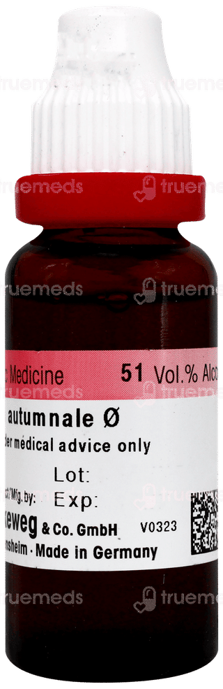 Dr Reckeweg Colchicum Aut Q Mother Tincture 20 Ml
