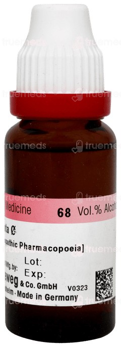 Dr Reckeweg Liatris Spicata Q Mother Tincture 20ml Dr Reckeweg Liatris Spicata Q Mother Tincture 20ml