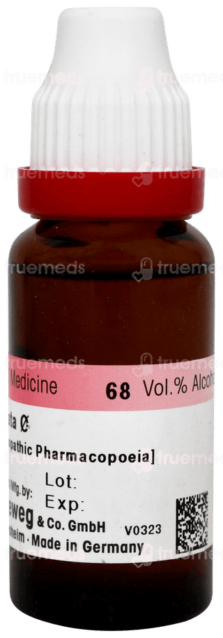 Dr Reckeweg Liatris Spicata Q Mother Tincture 20ml