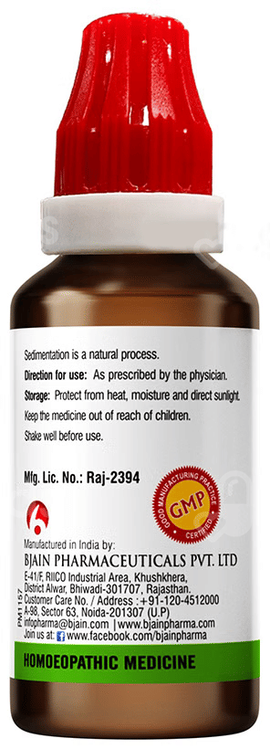 Bjain Bacopa Monnieri Q Mother Tincture 30 Ml