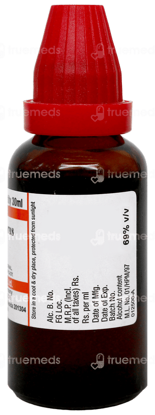 Dr Willmar Schwabe Cactus Grandiflorus Q Mother Tincture 30Ml
