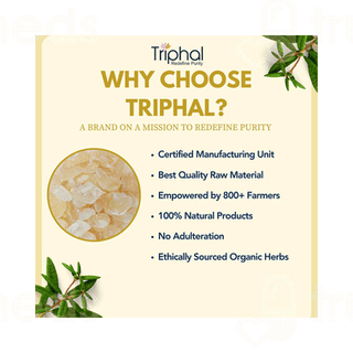 Triphal Gond Katira 100Gm