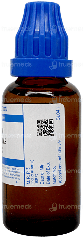 Sbl Serum Anguillae 200c Dilution 30ml