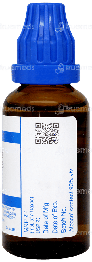 Sbl Mercurius Corrosivus 30c Dilution 30ml