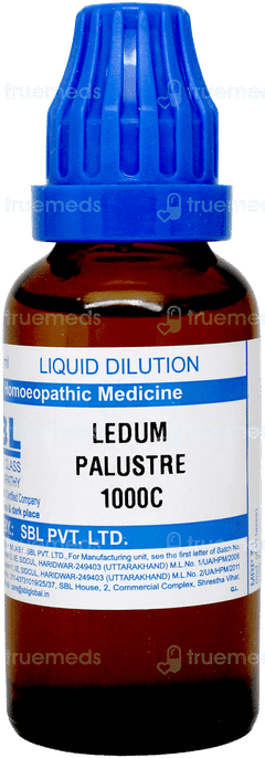 Sbl Ledum Palustre 1000c Dilution 30ml