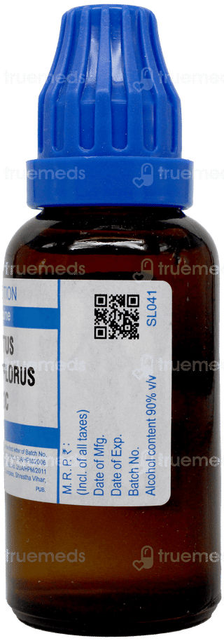 Sbl Cactus Grandiflorus 200 C Dilution 30 ML