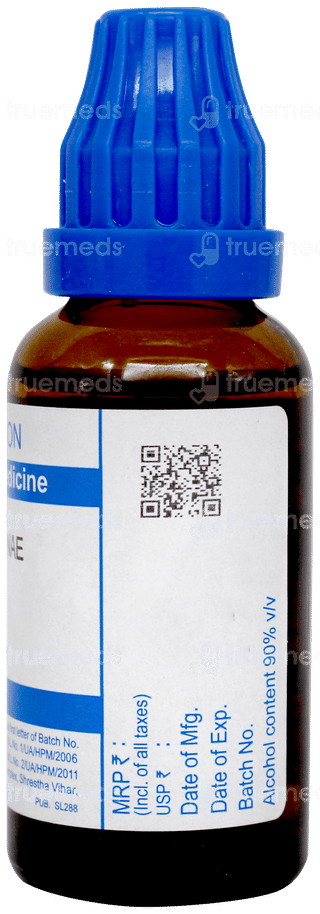 Sbl Terebinthinae Oleum 30c Dilution 30ml