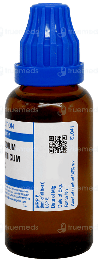 Sbl Chenopodium Anthelminticum 30C Dilution 30Ml