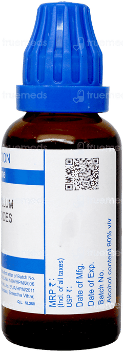 Sbl Caulophyllum Thalictroides 30c Dilution 30ml