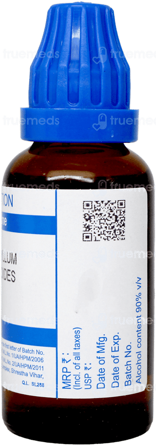 Sbl Caulophyllum Thalictroides 30c Dilution 30ml
