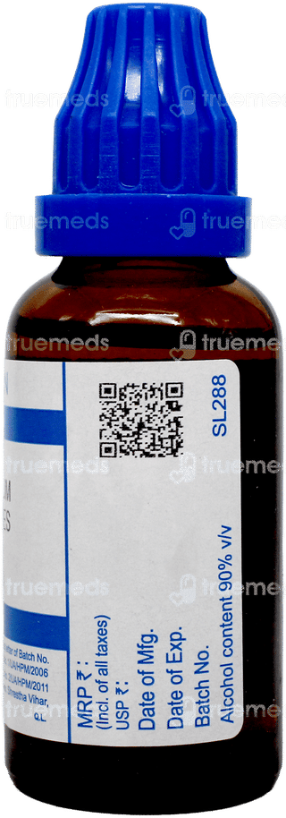 Sbl Caulophyllum Thalictroides 200c Dilution 30ml