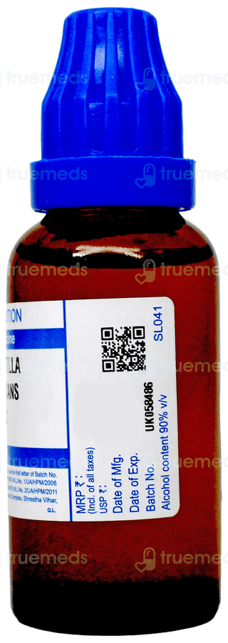 Sbl Pulsatilla Nigricans 6C Dilution 30Ml
