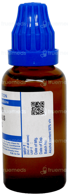 Sbl Carbo Animalis 30C Dilution 30Ml