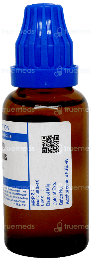 Sbl Carbo Animalis 30C Dilution 30Ml