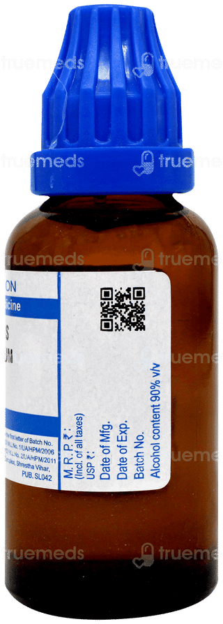 Sbl Berberis Aquifolium 1000c Dilution 30ml
