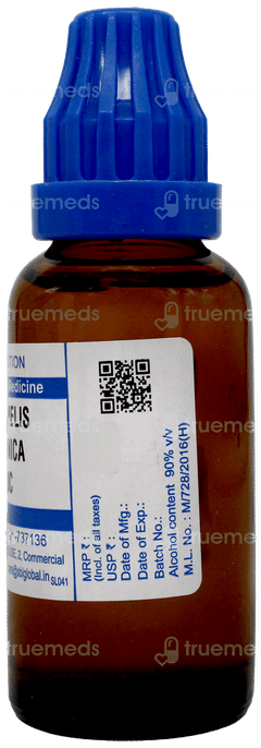 Sbl Hamamelis Virginica 200c Dilution 30ml Sbl Hamamelis Virginica 200c Dilution 30ml