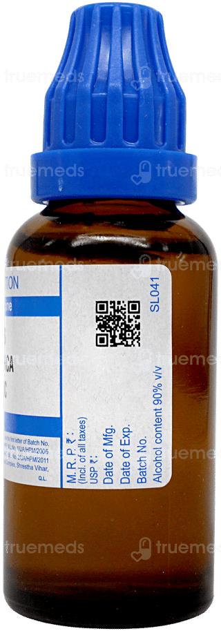 Sbl Apis Mellifica 1000c Dilution 30ml