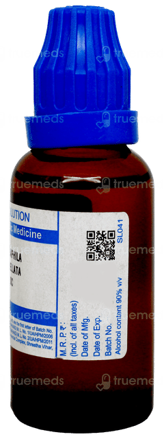 Sbl Chimaphila Umbellata 30c Dilution 30ml