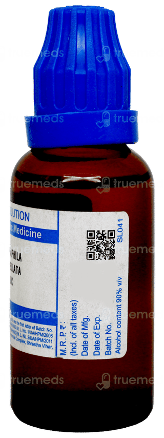 Sbl Chimaphila Umbellata 30c Dilution 30ml